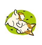 犬のらん丸（いぬまる）（個別スタンプ：5）
