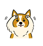犬のらん丸（いぬまる）（個別スタンプ：7）