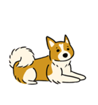 犬のらん丸（いぬまる）（個別スタンプ：8）