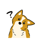 犬のらん丸（いぬまる）（個別スタンプ：9）
