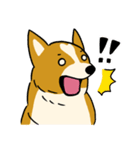 犬のらん丸（いぬまる）（個別スタンプ：10）