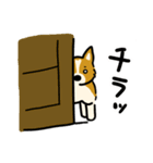 犬のらん丸（いぬまる）（個別スタンプ：11）