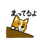 犬のらん丸（いぬまる）（個別スタンプ：12）