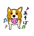 犬のらん丸（いぬまる）（個別スタンプ：13）