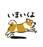 犬のらん丸（いぬまる）（個別スタンプ：14）