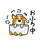 犬のらん丸（いぬまる）（個別スタンプ：15）