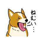 犬のらん丸（いぬまる）（個別スタンプ：16）