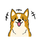 犬のらん丸（いぬまる）（個別スタンプ：17）