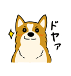 犬のらん丸（いぬまる）（個別スタンプ：20）
