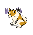 犬のらん丸（いぬまる）（個別スタンプ：22）