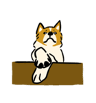 犬のらん丸（いぬまる）（個別スタンプ：23）