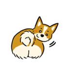 犬のらん丸（いぬまる）（個別スタンプ：24）