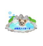 使える！チワワのちーたん 実写版（個別スタンプ：9）