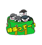 集中しましょ（個別スタンプ：12）