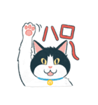 みんなの家猫 にこまる（個別スタンプ：1）