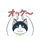 みんなの家猫 にこまる（個別スタンプ：3）