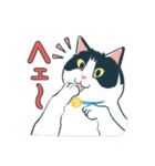 みんなの家猫 にこまる（個別スタンプ：5）