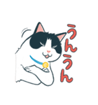 みんなの家猫 にこまる（個別スタンプ：6）