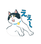 みんなの家猫 にこまる（個別スタンプ：10）
