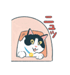 みんなの家猫 にこまる（個別スタンプ：13）