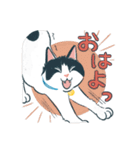みんなの家猫 にこまる（個別スタンプ：14）