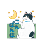 みんなの家猫 にこまる（個別スタンプ：15）