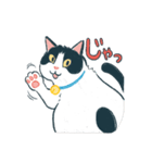 みんなの家猫 にこまる（個別スタンプ：16）