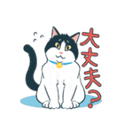 みんなの家猫 にこまる（個別スタンプ：17）