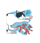 みんなの家猫 にこまる（個別スタンプ：21）