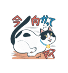 みんなの家猫 にこまる（個別スタンプ：25）