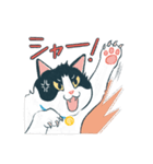 みんなの家猫 にこまる（個別スタンプ：36）