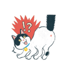 みんなの家猫 にこまる（個別スタンプ：37）
