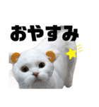 うっすら三毛猫ななこ。切り抜き黒文字Ver.（個別スタンプ：7）