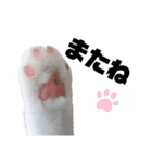 うっすら三毛猫ななこ。切り抜き黒文字Ver.（個別スタンプ：8）