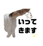 うっすら三毛猫ななこ。切り抜き黒文字Ver.（個別スタンプ：9）