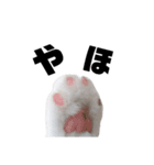 うっすら三毛猫ななこ。切り抜き黒文字Ver.（個別スタンプ：14）