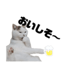 うっすら三毛猫ななこ。切り抜き黒文字Ver.（個別スタンプ：17）