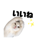うっすら三毛猫ななこ。切り抜き黒文字Ver.（個別スタンプ：19）