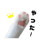 うっすら三毛猫ななこ。切り抜き黒文字Ver.（個別スタンプ：20）