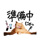 hknの日常 (文字あり)（個別スタンプ：1）