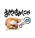 hknの日常 (文字あり)（個別スタンプ：2）