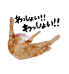 hknの日常 (文字あり)（個別スタンプ：4）