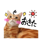 hknの日常 (文字あり)（個別スタンプ：5）