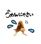 hknの日常 (文字あり)（個別スタンプ：8）