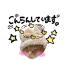 hknの日常 (文字あり)（個別スタンプ：12）