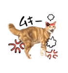 hknの日常 (文字あり)（個別スタンプ：14）