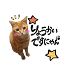 hknの日常 (文字あり)（個別スタンプ：15）