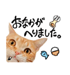 hknの日常 (文字あり)（個別スタンプ：17）