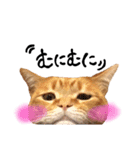 hknの日常 (文字あり)（個別スタンプ：20）