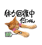 hknの日常 (文字あり)（個別スタンプ：23）
